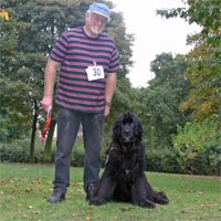 picture of black newfoundland dog Calvados Gathering Storm