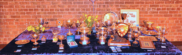 Trophy table