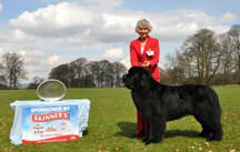 Scotiabear Talk Of The Town at Rathmil, JW ShCM with June Milne