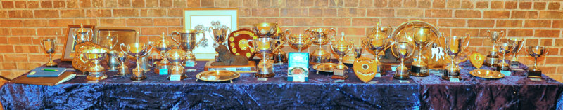 Trophy table