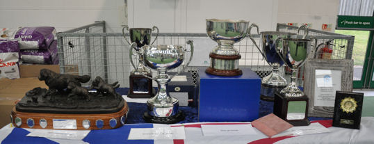 Trophy table