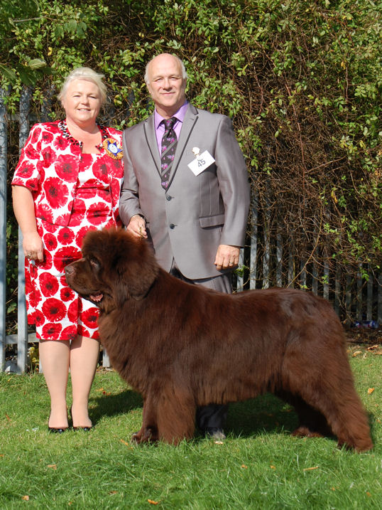 BEST BROWN IN SHOW - WILDERLAND AMBER SPYGLASS