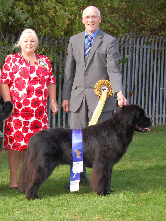 BEST IN SHOW - SANDBEARS GOT ATTITUDE