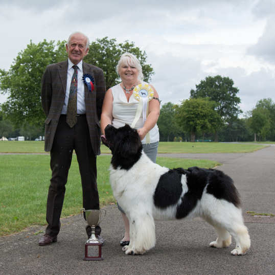 BEST LANDSEER IN SHOW