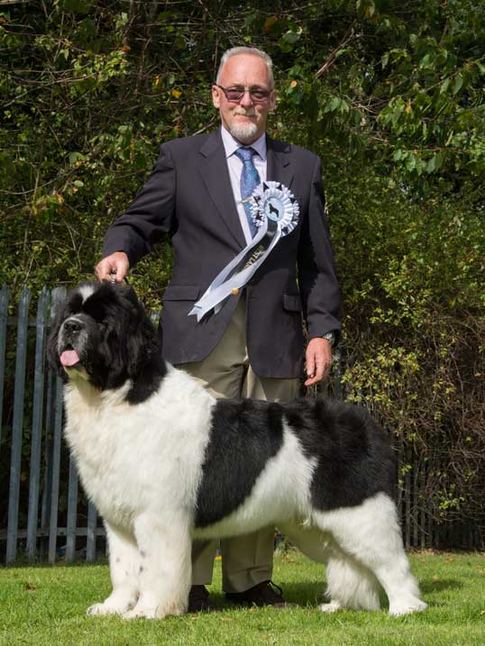 BEST LANDSEER IN SHOW