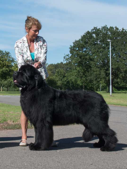 RES. BEST IN SHOW