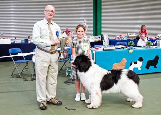 BEST LANDSEER IN SHOW