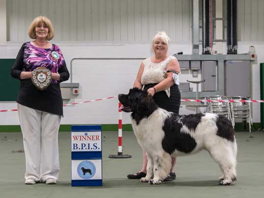 BEST PUPPY IN SHOW