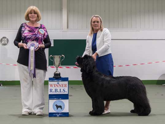 RES. BEST IN SHOW