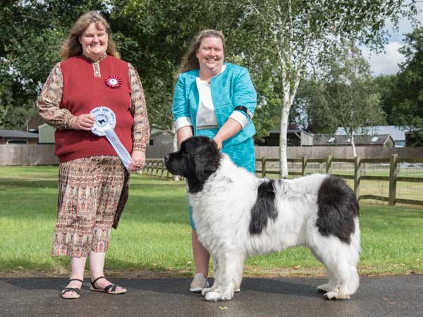 BEST LANDSEER IN SHOW