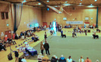Sutton Leisure Centre show venue