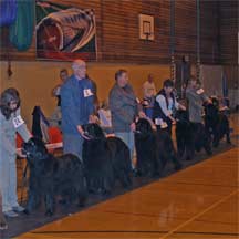 Northern Newfoundland Club Open Show 2005