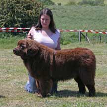 Shirland Fun Day 2006