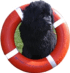 logo of Catreath training group