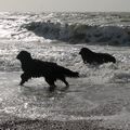Click to enlarge Oh we do like to be beside the seaside!