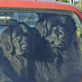 Click to enlarge Where are we going today?