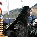 Click to enlarge Boating on Ullswater