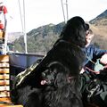 Boating on Ullswater