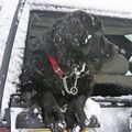 Click to enlarge Its snowing Dad!