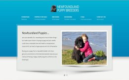 Newfoundland Puppies web site screen