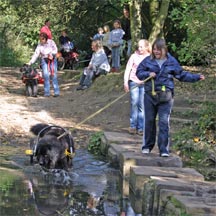 Carting through a stream