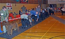 Picture of Class at NNC Open Show 2005