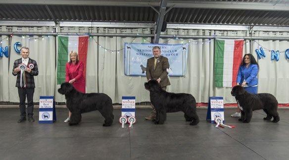 2023 Champ Show Winners