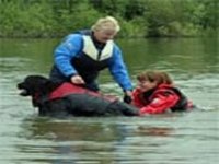 Picture of black Newfoundland dog in life jacket with owner stood behind helping person from water