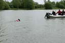 Picture of Landseer dog swimming to boat to collect tow rope