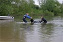 picture of landseer dog being greeted by owner as the owner reaches out to help the stranger from the water
