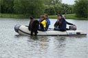 picture of brown newfoundland entering water from boat