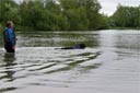 picture of black newfoundland dog swimming out from shore whilst owner waits