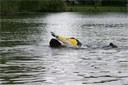 picture of brown newfoundland dog and owner on return section of right hand 'L' section of controlled swim