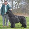 IR CH Fairweather's Knockout with Brooklyn Bear