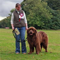 beginners obedience winner