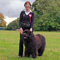 pre-beginners obedience winner