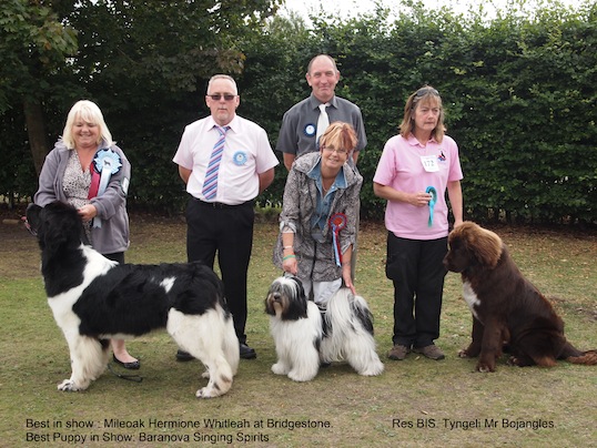 Best in Show - Res Best in Show - Best Puppy in Show