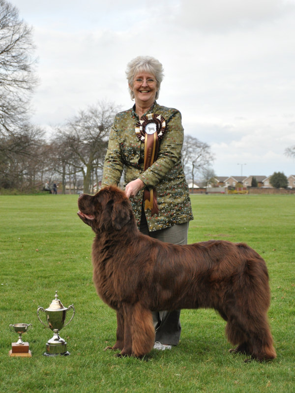 BEST BROWN IN SHOW - Stelamah Just Love Her