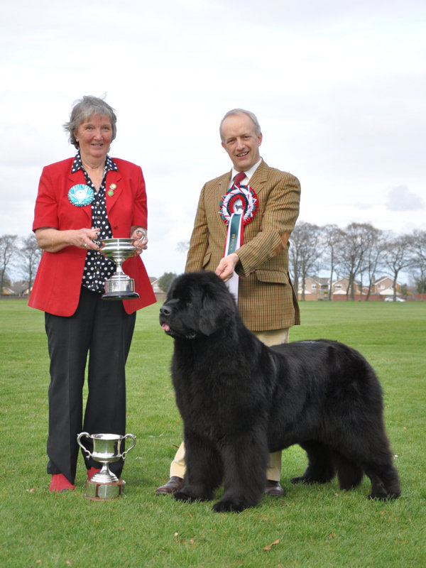 BEST IN SHOW