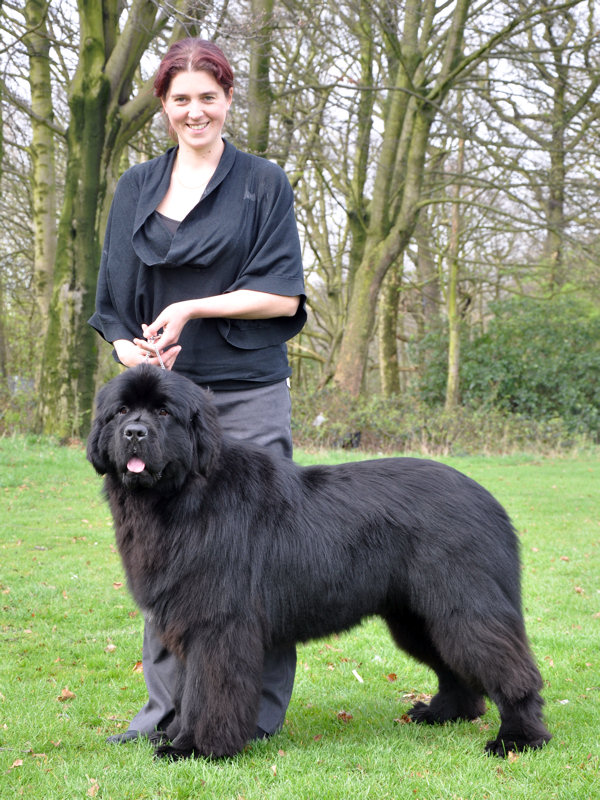 BEST PUPPY IN SHOW