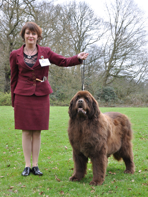 BEST VETERAN IN SHOW - Darkpeak Penny Dreamweaver