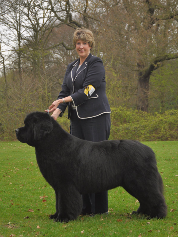 RES. BEST IN SHOW