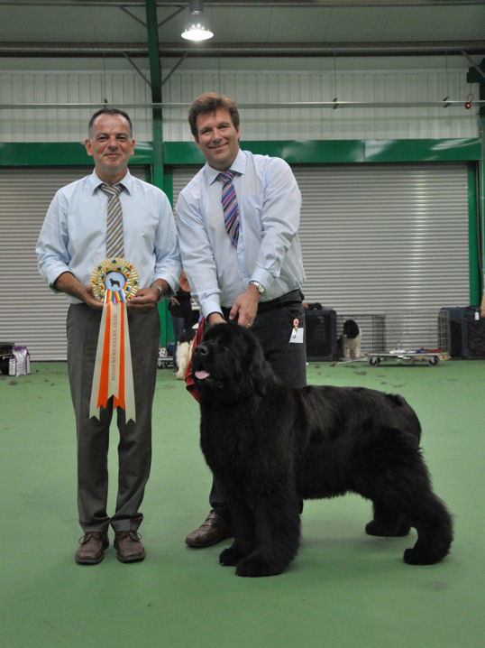 Best Veteran In Show - Chateaunewf The One I Love at Chateaunewf
