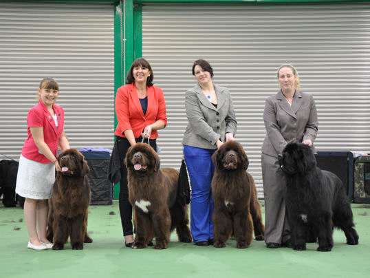 KC Best Breeders Award - Zentaur