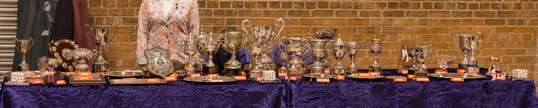 Trophy table
