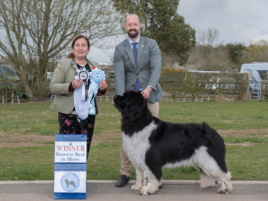 RESERVE BEST IN SHOW