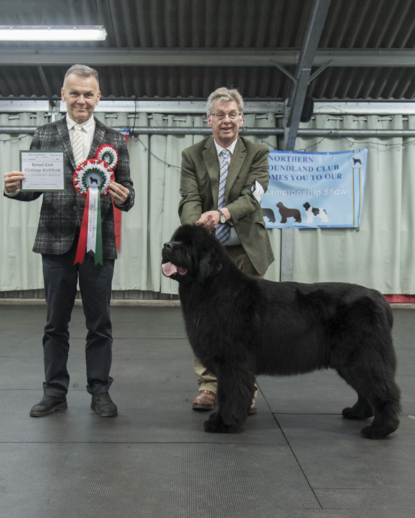 BEST OPP SEX IN SHOW