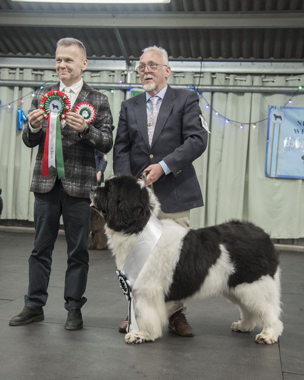 BEST LANDSEER IN SHOW