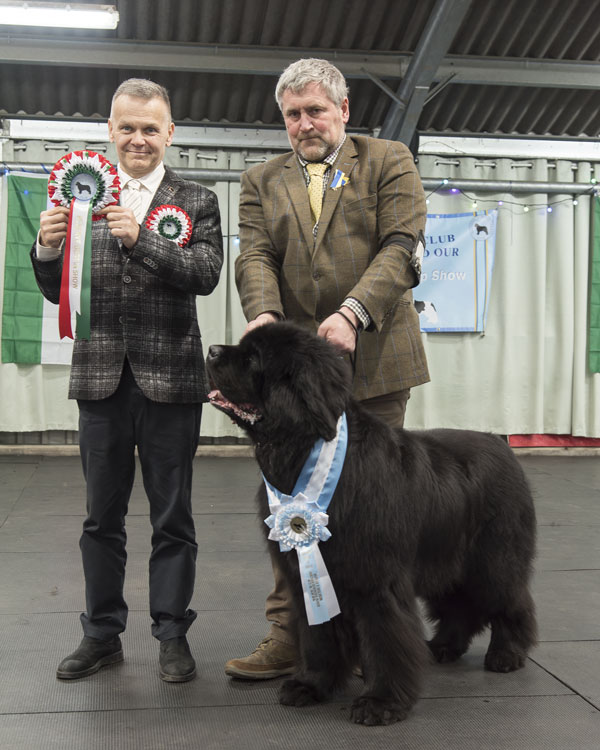 RESERVE BEST IN SHOW