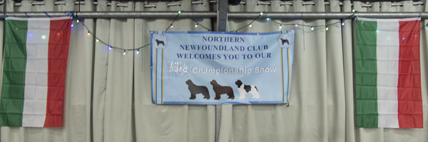 2023 Champ Show Banner